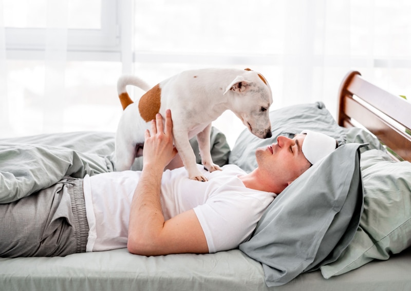 Why Does My Dog Stand on Me? 12 Vet-Approved Reasons & What to Do