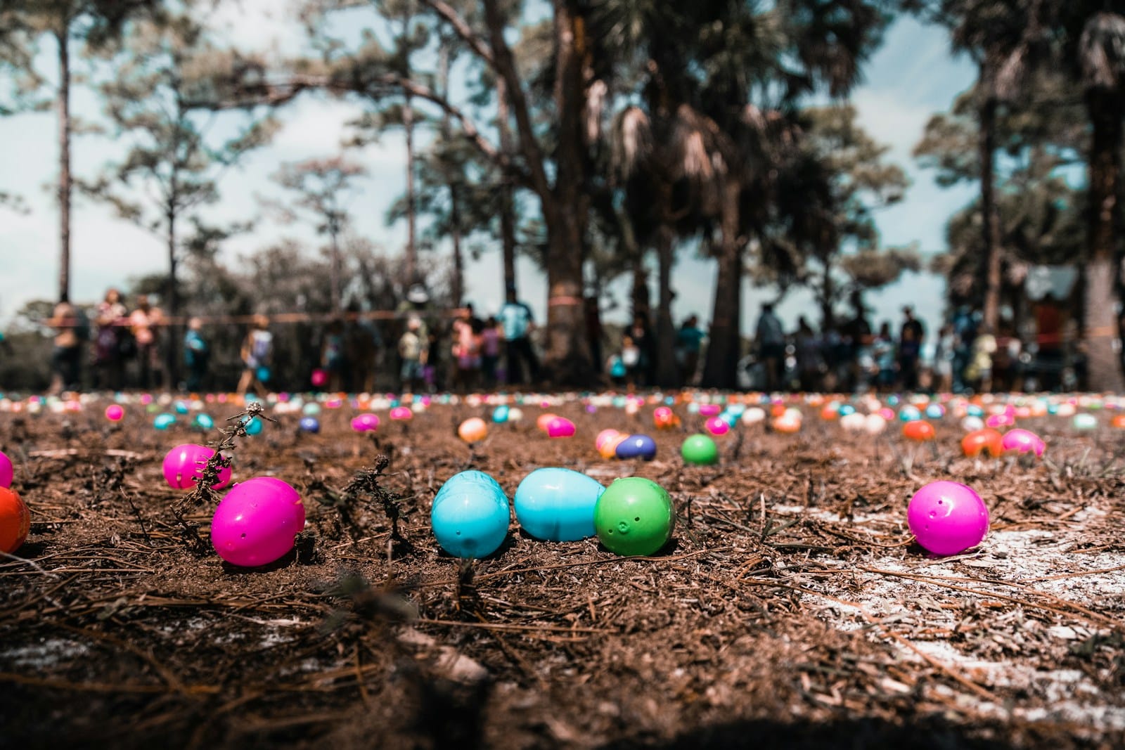 Easter Egg Hunts for Dogs: 6 Vet-Approved Safety Tips for Fun