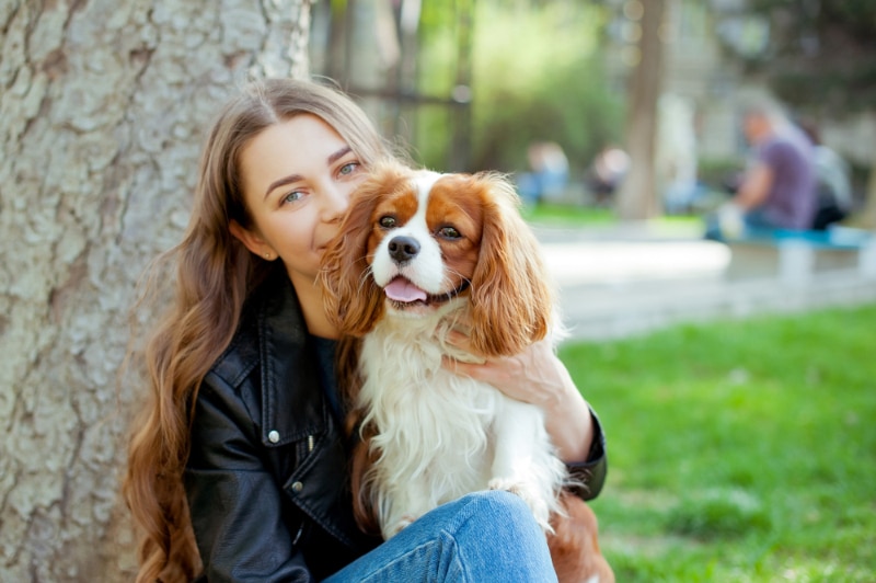 How to Build Trust with Your Dog: 8 Vet Approved Ways