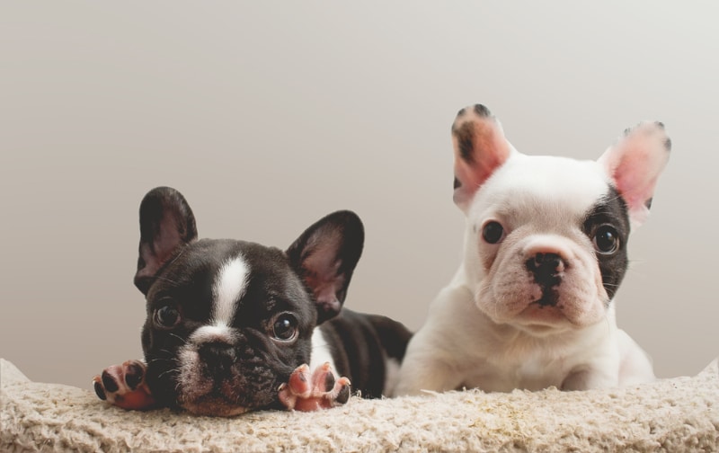 The Cleaning Mistakes That Ruin Wool Rugs (And What to Do Instead)
