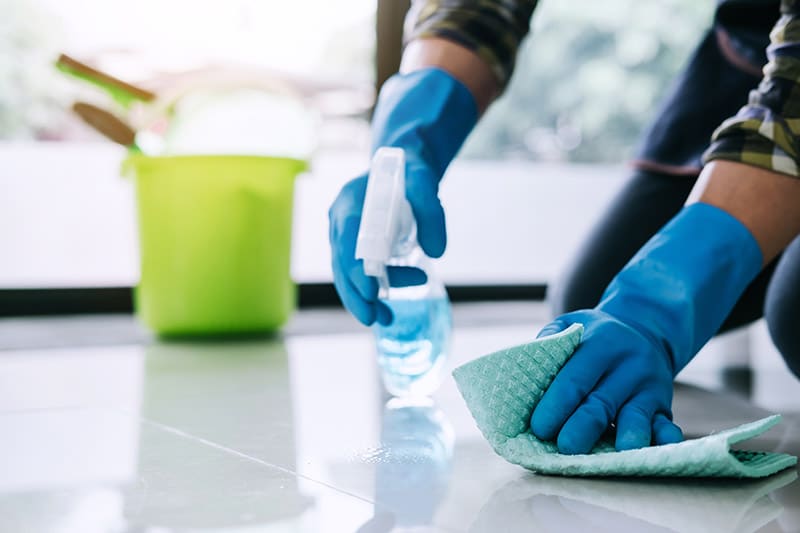 20 Common Household Items That Are Poisonous to Dogs (Vet Reviewed)