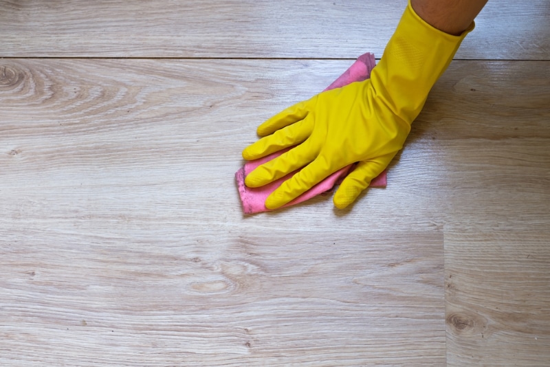 How to Protect Laminate Floors From Dog Pee - 5 Great Tips