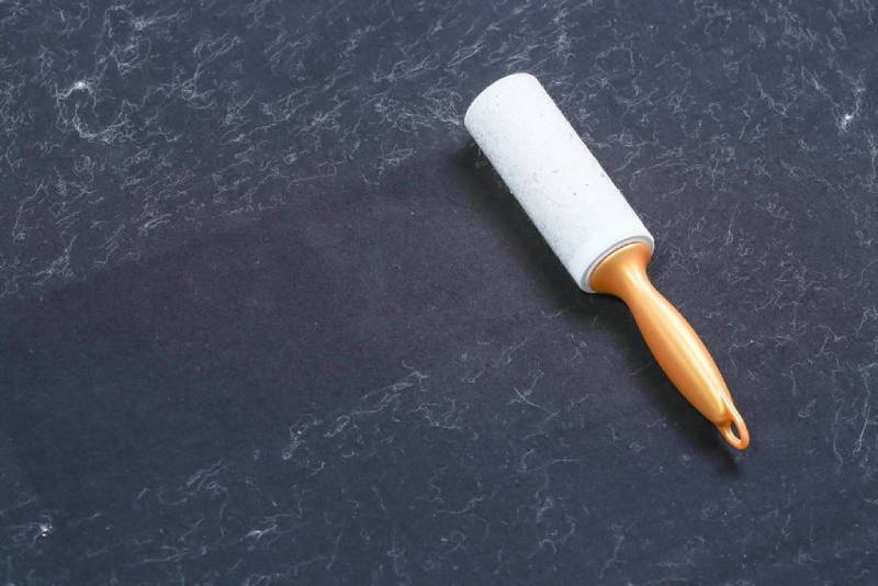 removing fur using Lint Roller