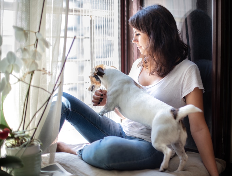 woman and her small dog sitting together on a window seat watching through a window