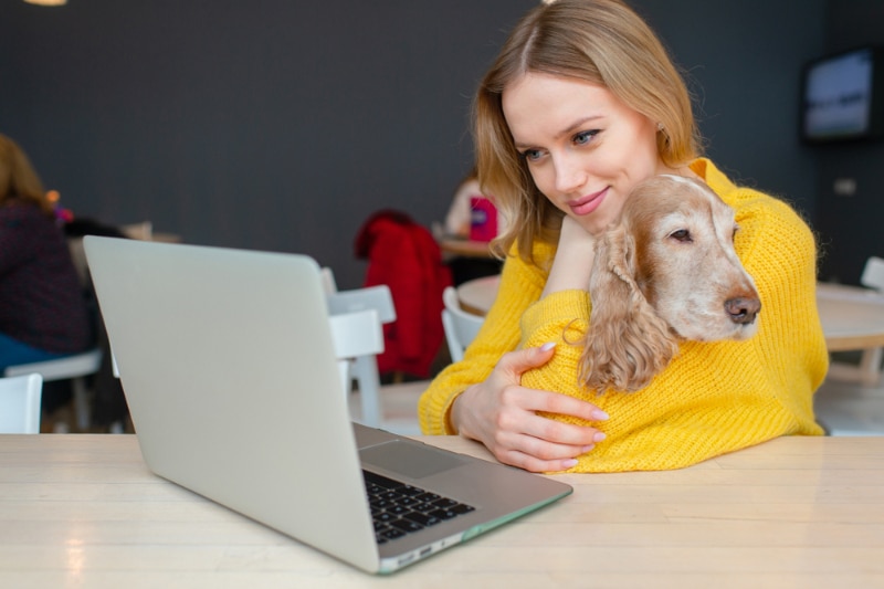 Take Your Dog to Work Day 2026: How & When to Celebrate