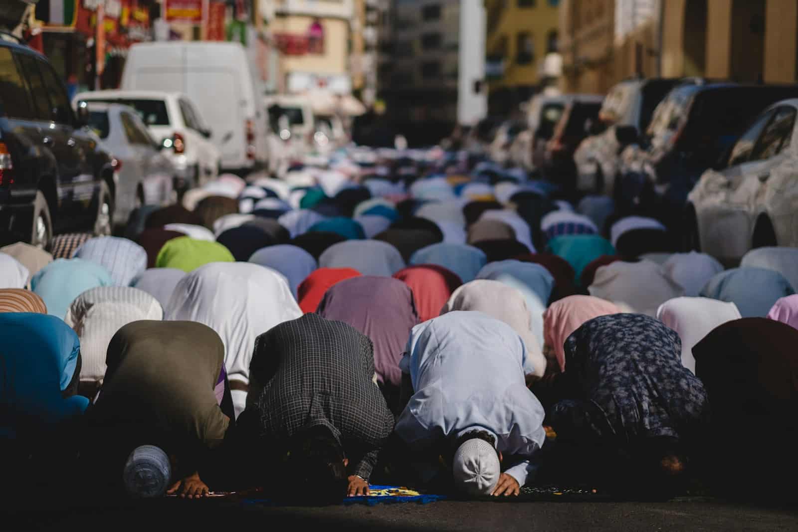 Can Muslims Touch Dogs? Ethics & Rules