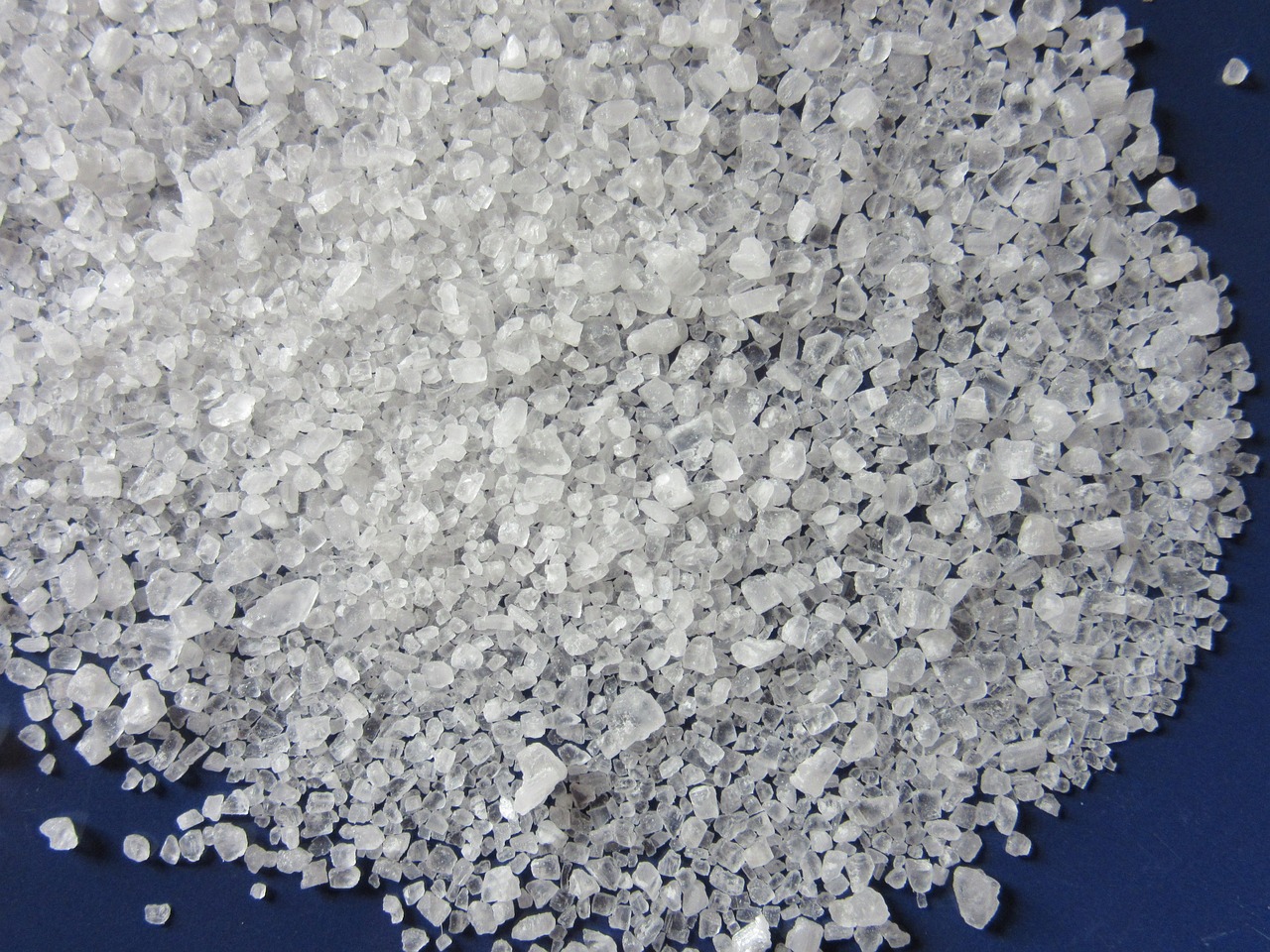 What Is Pet-Safe Rock Salt & How to Use It? Vet-Reviewed Facts & Tips