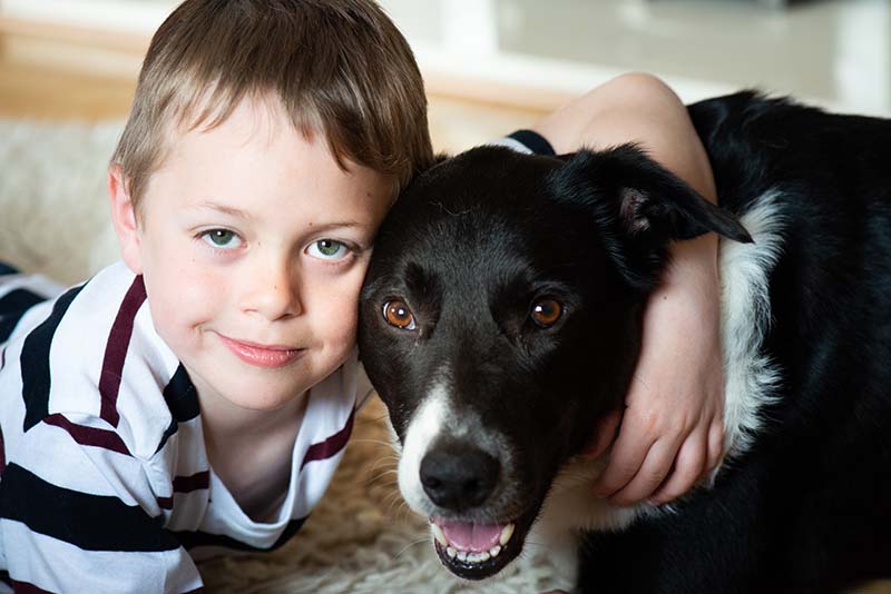 Dog Therapy for Autism: What It is & How It Works