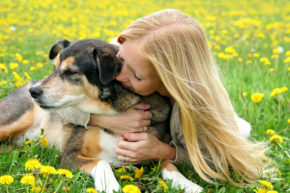 How to Make Your Dog Smell Good Without a Bath: 8 Simple Tips