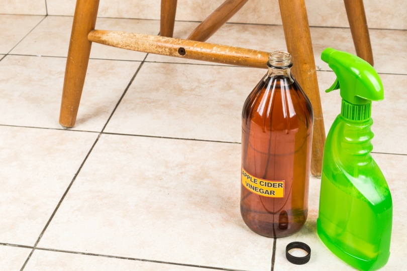 12 Homemade Dog Pee Repellents You Can Make Today