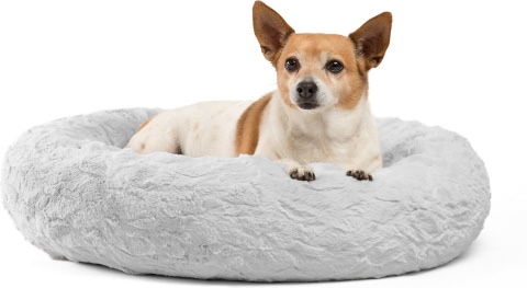 Do Calming Dog Beds Really Work? Vet-Verified Facts  to Know