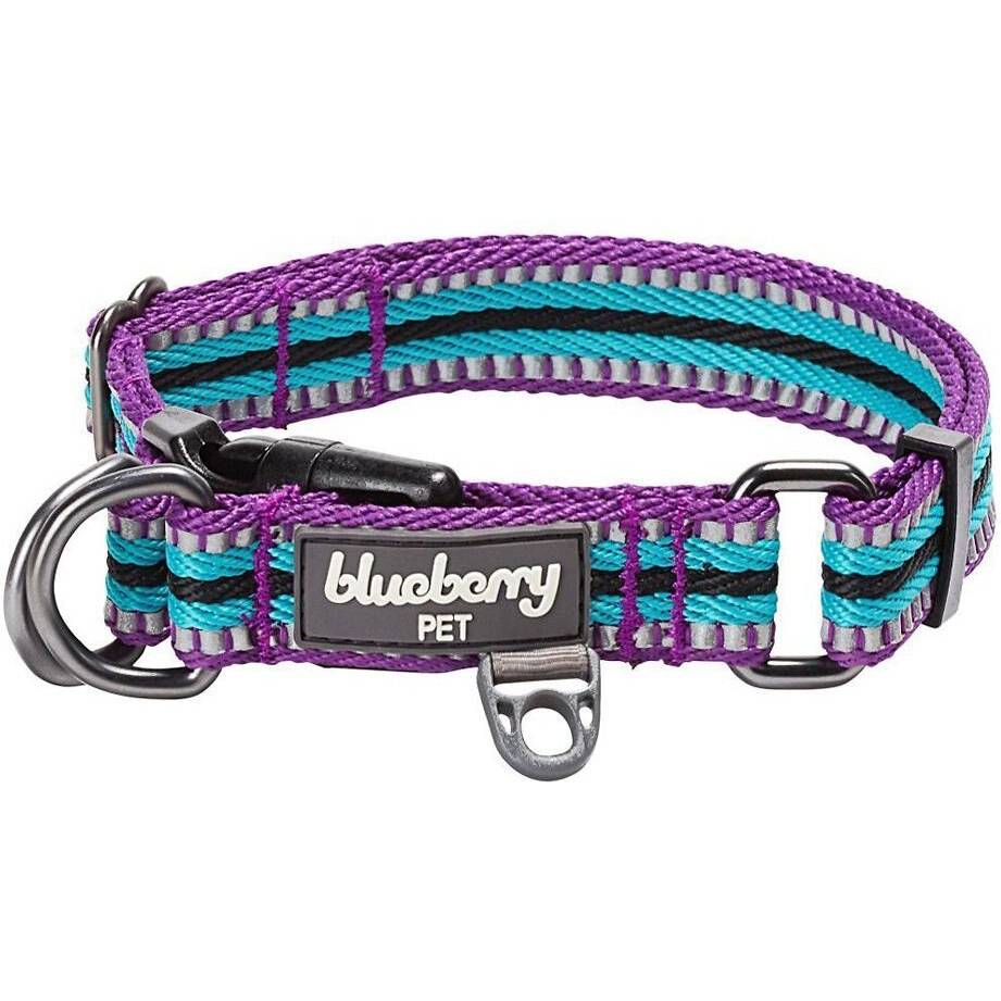 Blueberry Pet 3M Reflective Dog Collar
