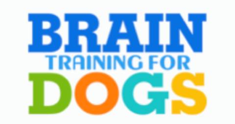 Brain training