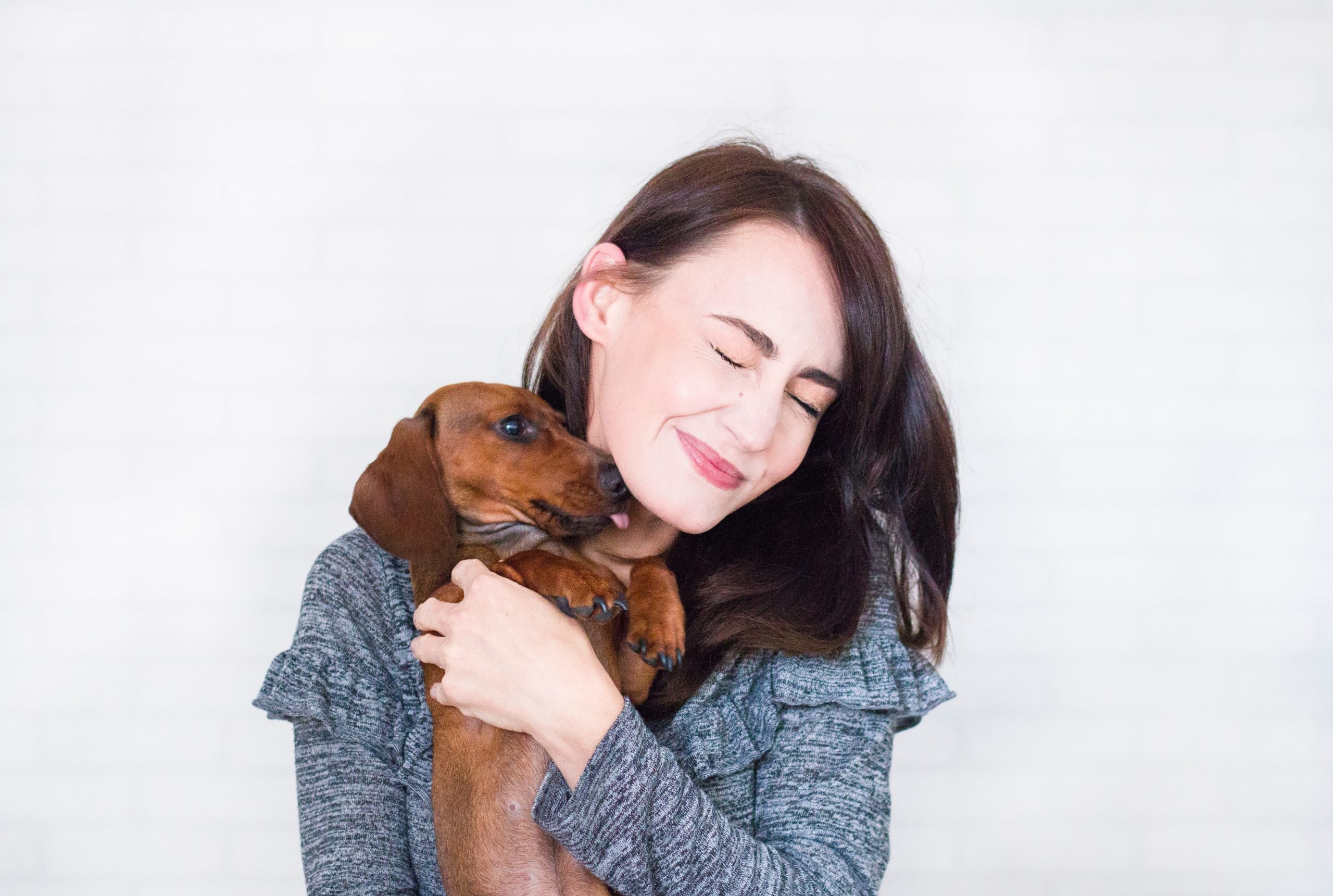 How to Get My Dog to Stop Licking Me: 7 Vet-Approved Steps