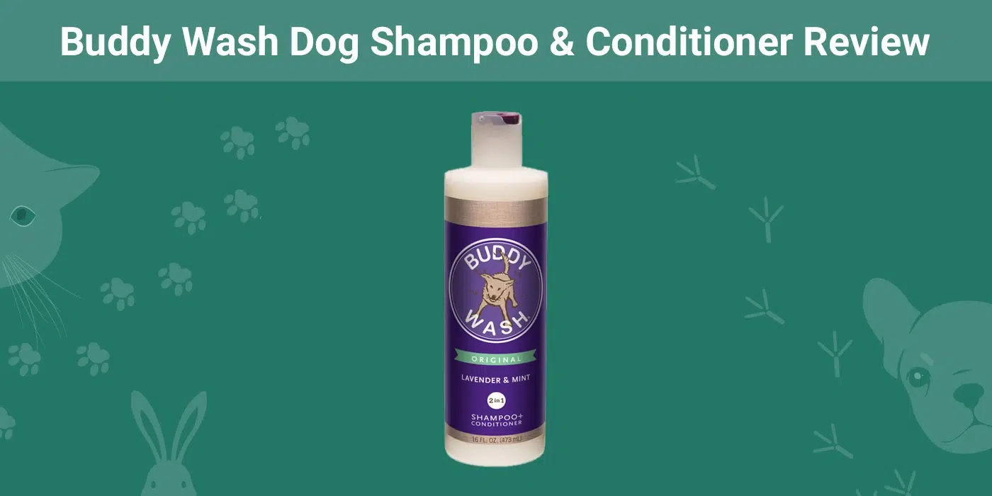 Buddy Wash Dog Shampoo & Conditioner Review 2026: Our Expert's Opinion