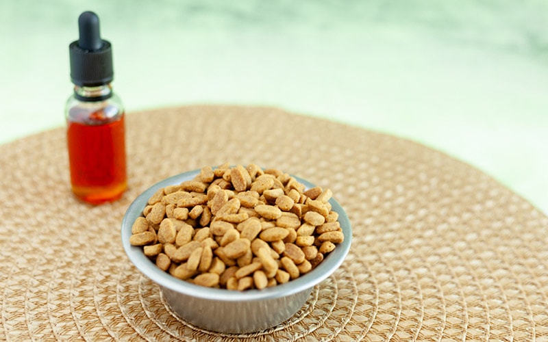 4 Best CBD Dog Treats in 2026 - Reviews & Top Picks