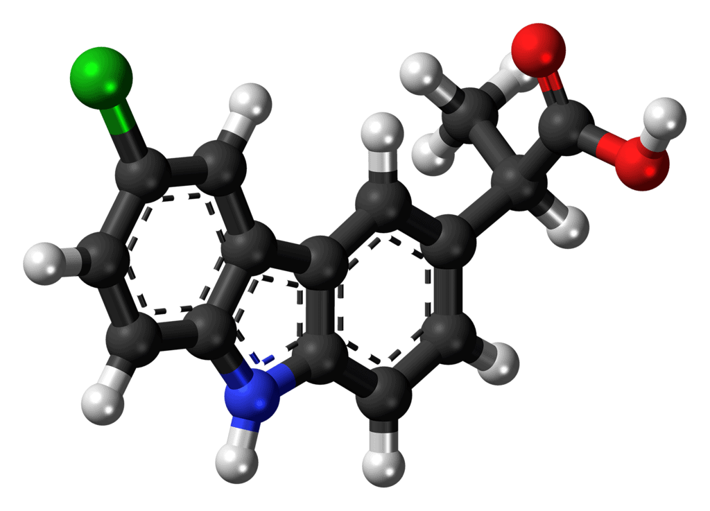 Carprofen for Dogs: Uses, Dosage, and Safety (Vet Answer)