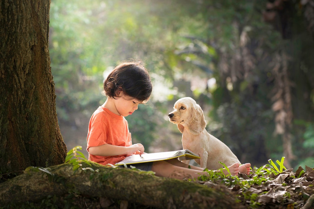 12 Popular Poems About Dogs (With Readings)