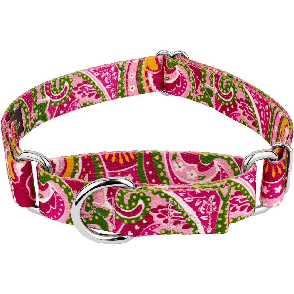 Country Brook Design Pink Paisley Martingale Dog Collar-M review