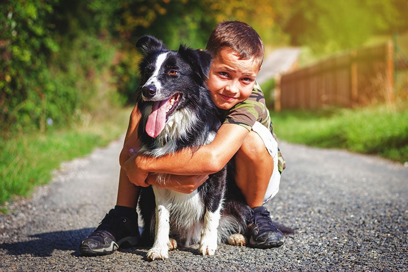 Will a Border Collie Be Good With My Kids? Facts & FAQ