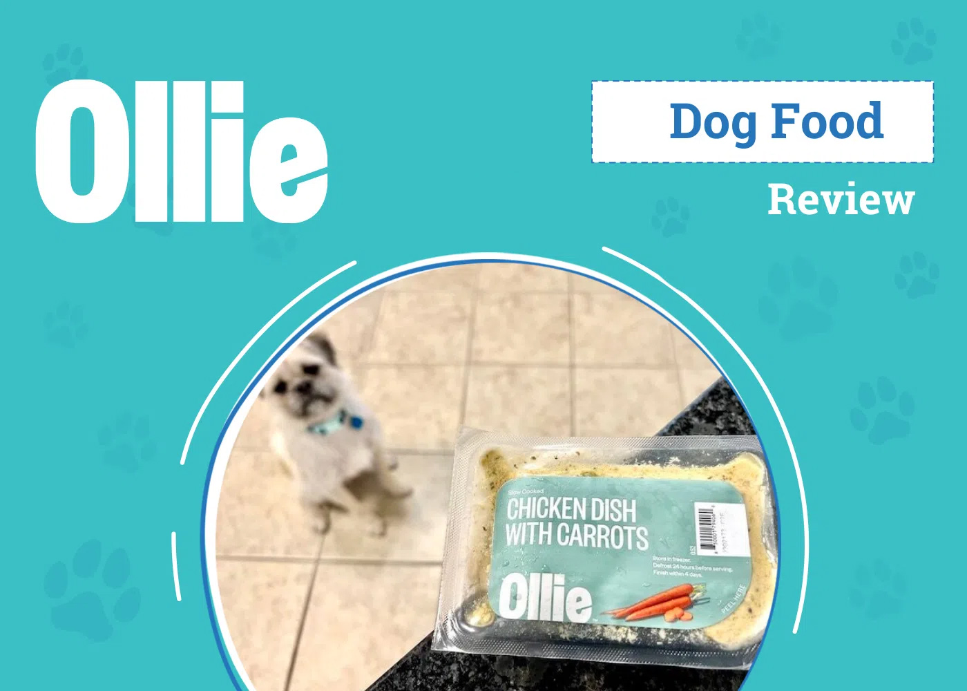 Ollie Fresh Dog Food Review 2026: Pros, Cons & Final Verdict