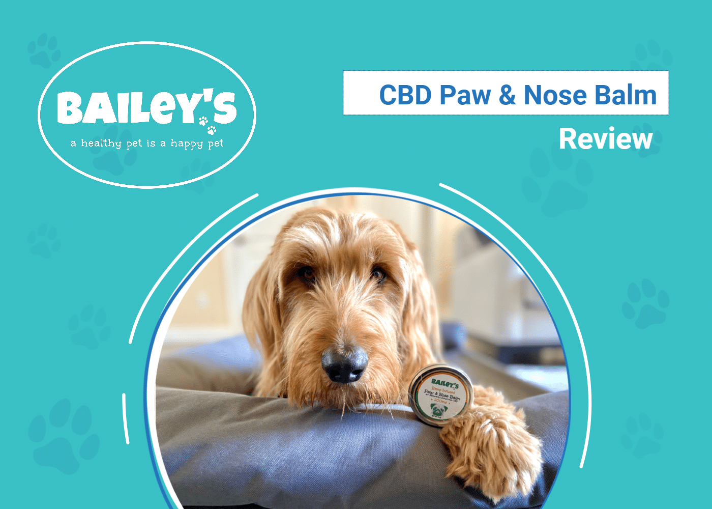 Bailey’s CBD Paw & Nose Balm Review 2026: An Expert's Breakdown