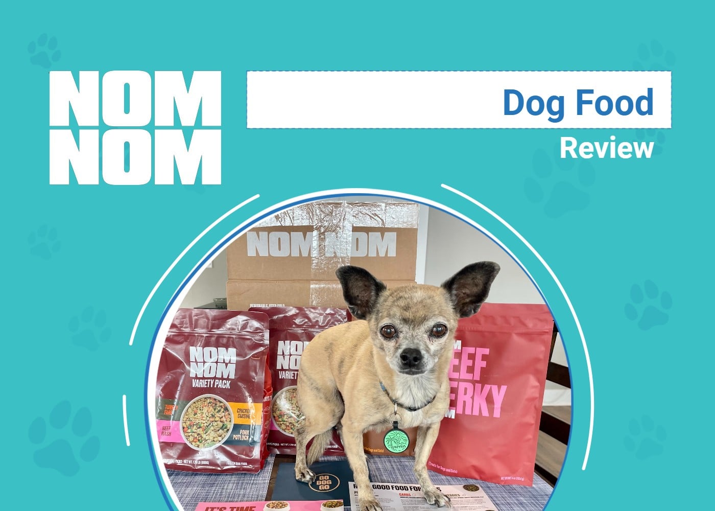Nom Nom Sampler Pack Dog Food Review 2026: An Expert's Breakdown