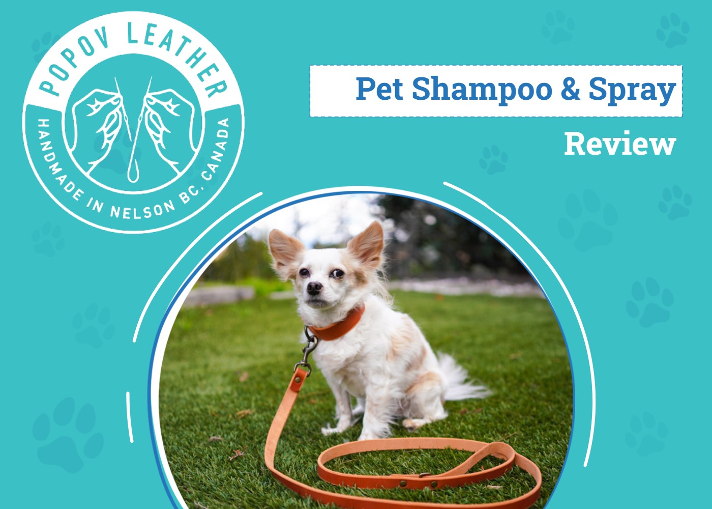 Popov Leather Dog Collar & Leash Review 2026: An Expert's Breakdown