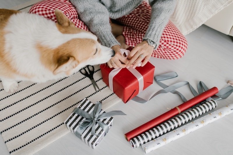 13 Mother’s Day Gifts for Dog Moms in 2026