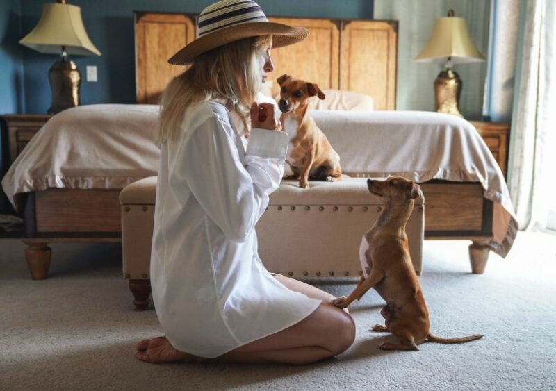 How to Teach Your Dog to Dance: 8 Tips & Tricks (Vet Verified)