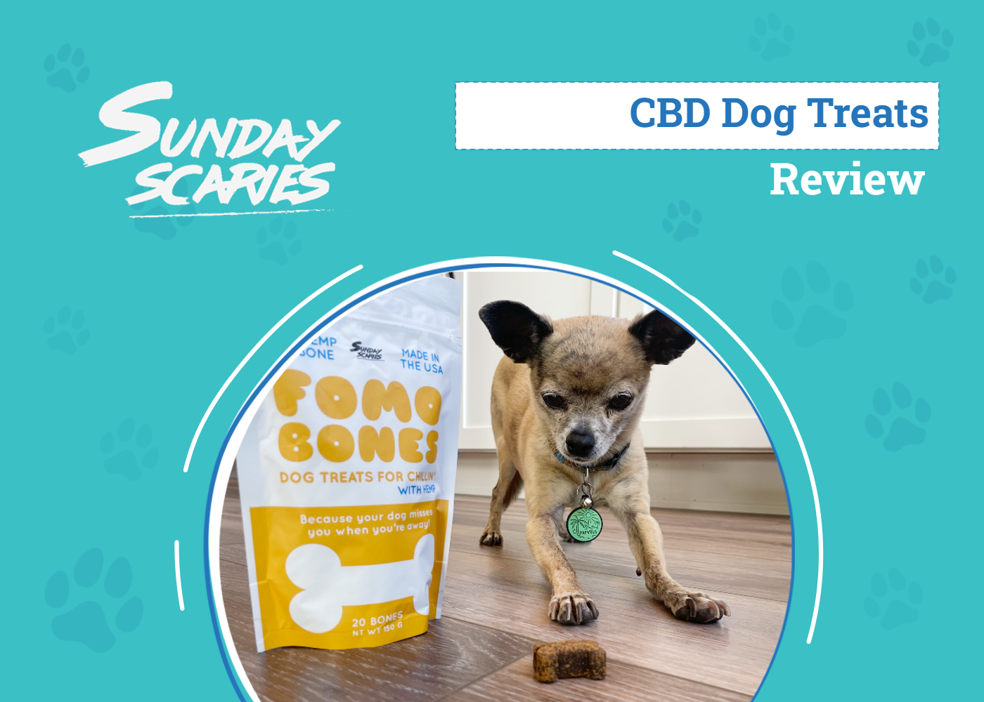 Sunday Scaries FOMO Bones Review 2026: An Expert's Breakdown
