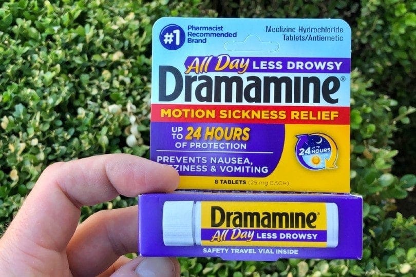 Dramamine For Dogs: Vet-Reviewed Uses & Potential Side Effects