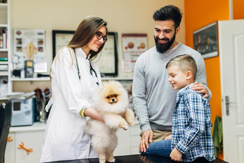 National Heartworm Awareness Month 2026: When It Is & Health Tips