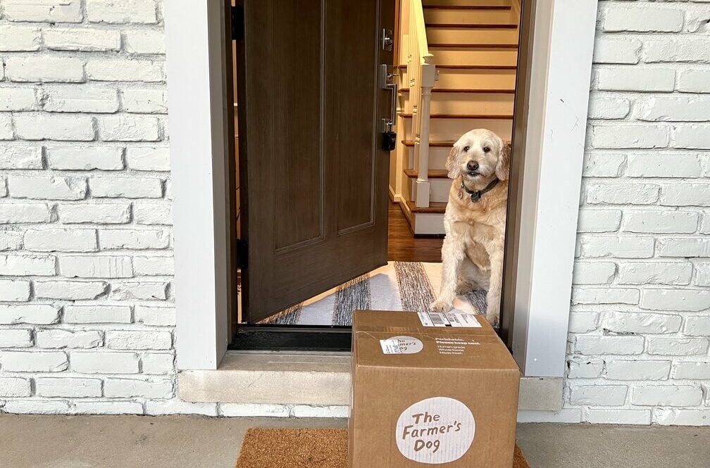10 Best Fresh Dog Food Delivery Services in 2026 - Reviews & Top Picks