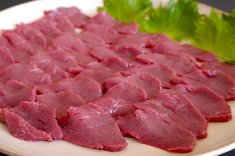 Is There Horse Meat in Dog Food? Separating Truth From Fiction