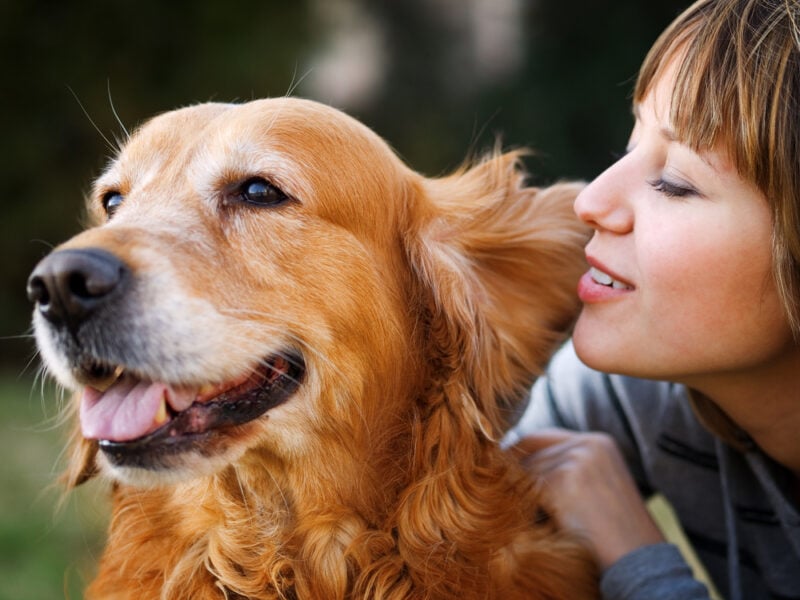 What Noise Levels Are Healthy for Dogs? Vet Reviewed Decibel Guide