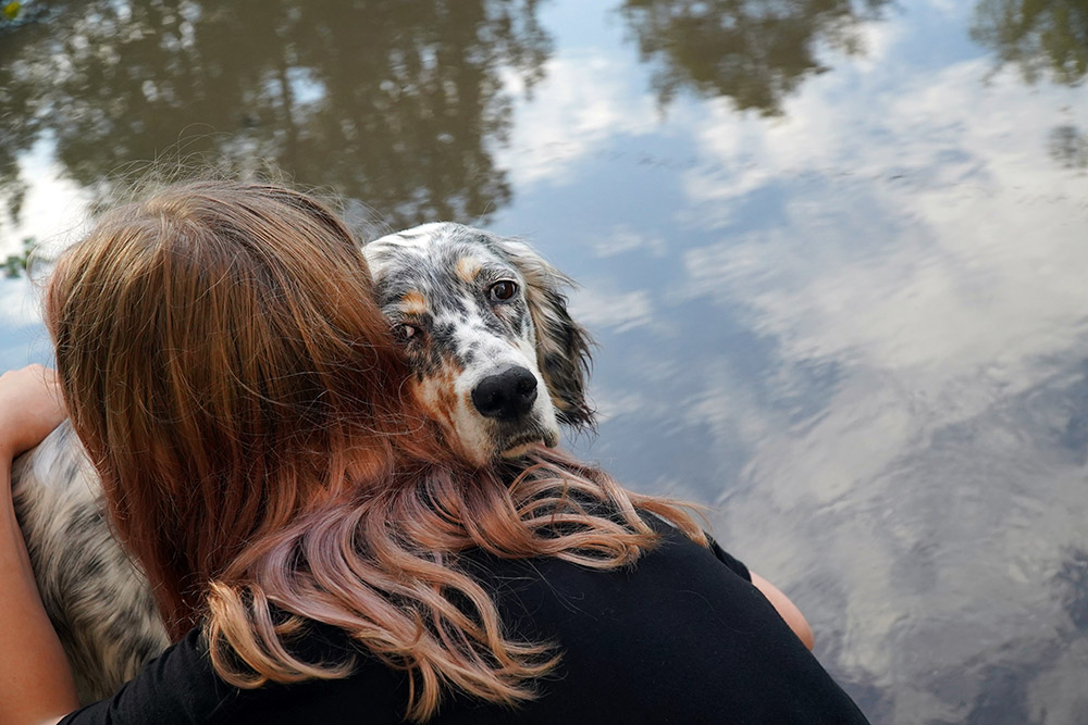 How to Say Goodbye to Your Dog When the Time Comes