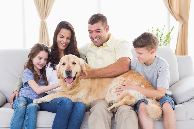 12 Things Only Big Dog Owners Understand: Relatable Memories