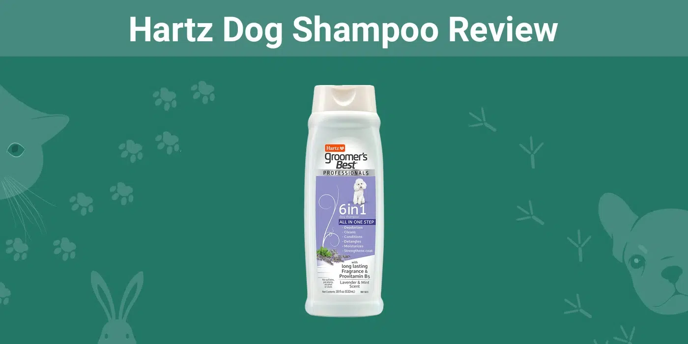 Hartz Dog Shampoo Review 2026: Pros, Cons & Final Verdict