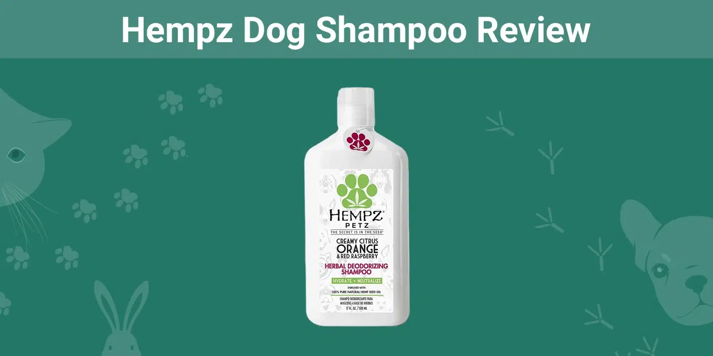 Hempz Dog Shampoo Review 2026: Pros, Cons & Final Verdict