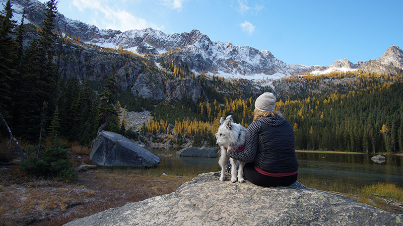 16 Dog-Friendly Hiking Trails in Washington (2026 Guide)
