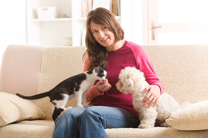 Responsible Pet Owners Month 2026: When It Is & How It's Celebrated