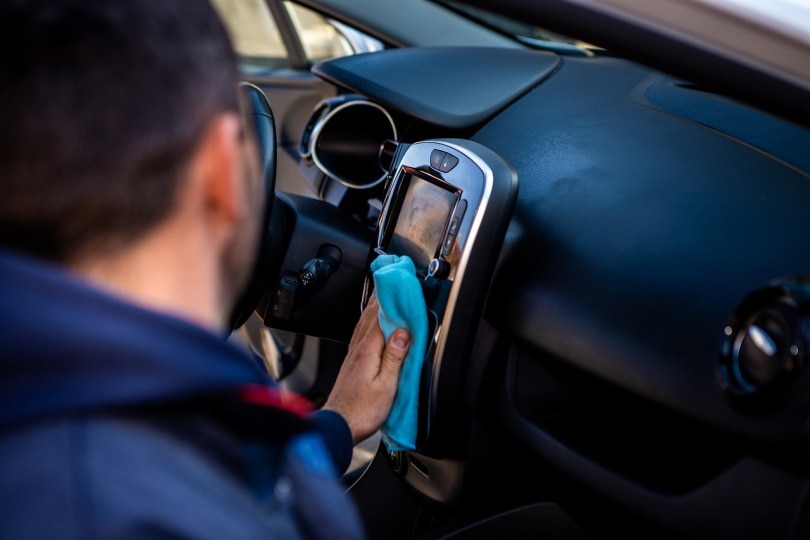 How to Get Dog Pee Smell & Stains Out of a Car: 4 Easy Steps
