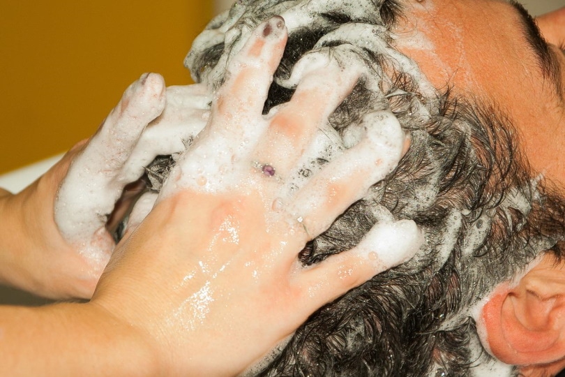 Can Humans Use Dog Shampoo? Vet-Approved Safety and Efficacy