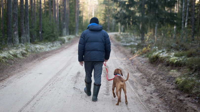 11 Dog-Friendly Hiking Trails in Central Florida (2026 Guide)
