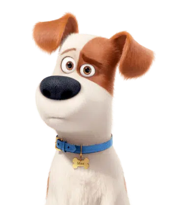 What Breed of Dog Is Max from The Secret Life of Pets? Famous Movie Character Facts