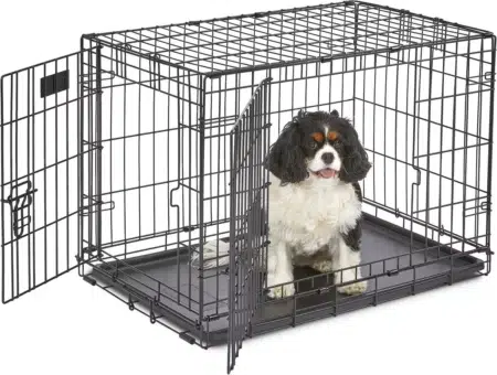 MidWest iCrate Fold &amp; Carry Double Door Collapsible Wire Dog Crate