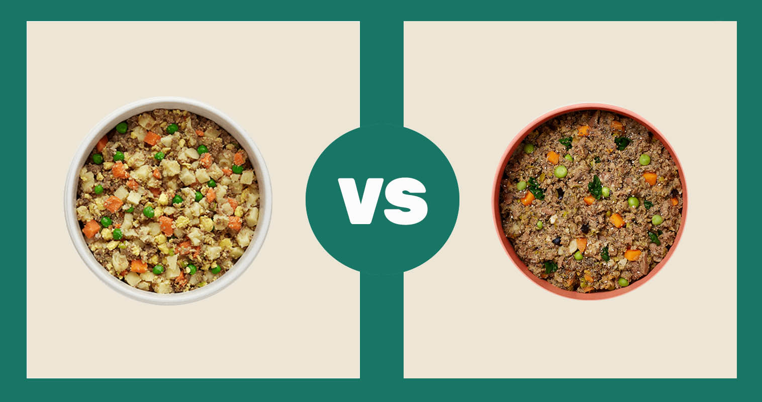 Nom Nom Beef Mash vs Ollie Fresh Beef