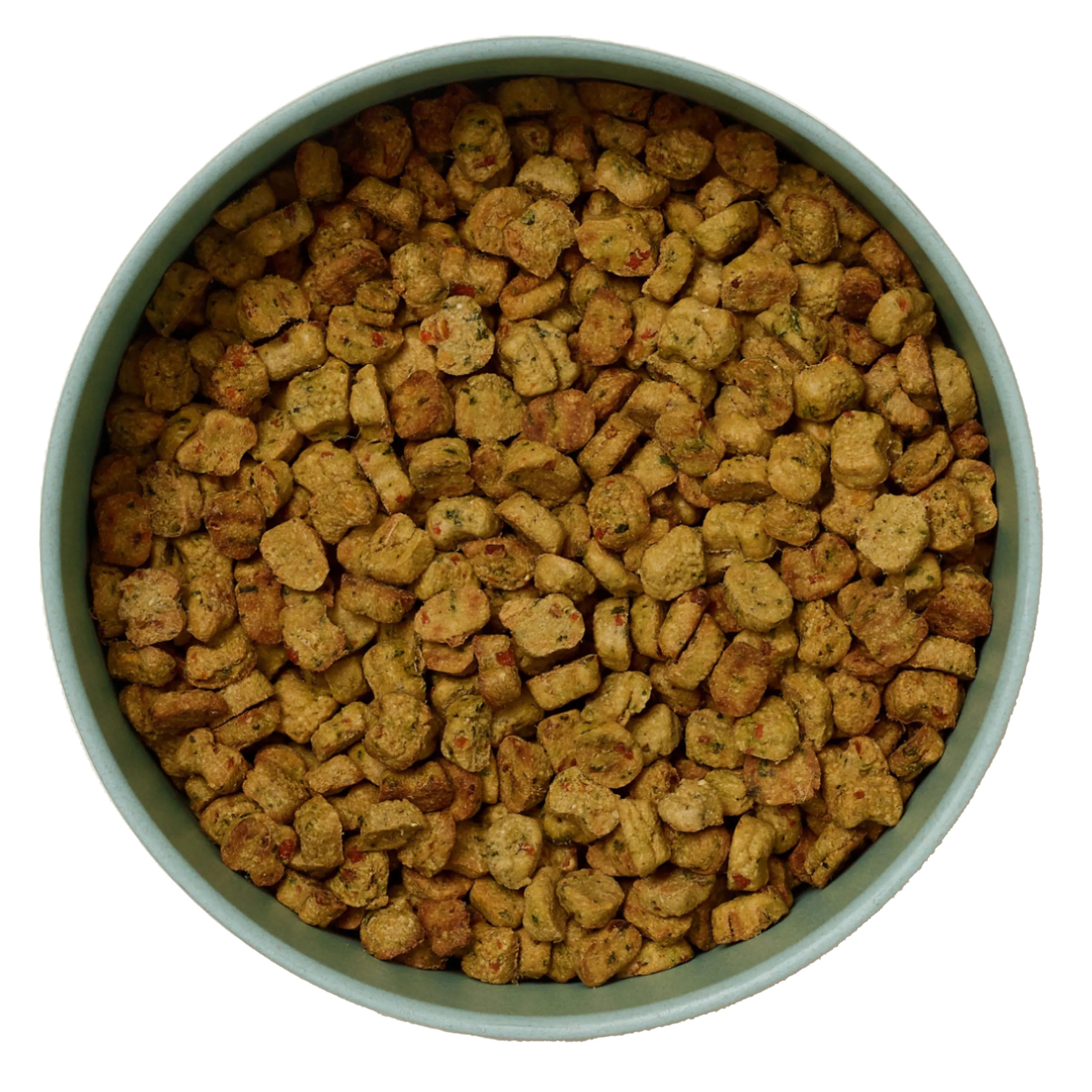 Ollie Baked Chicken & Carrot Recipe Dog Food
