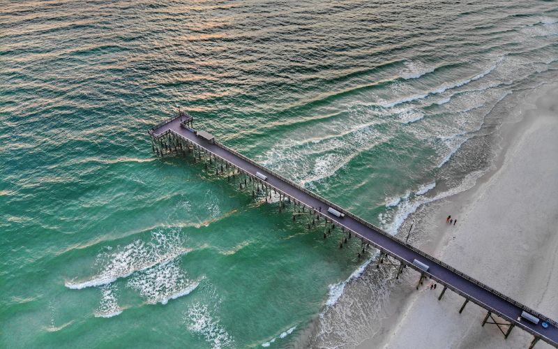 Are Dogs Allowed on Panama City Beach? Local Rules Explained